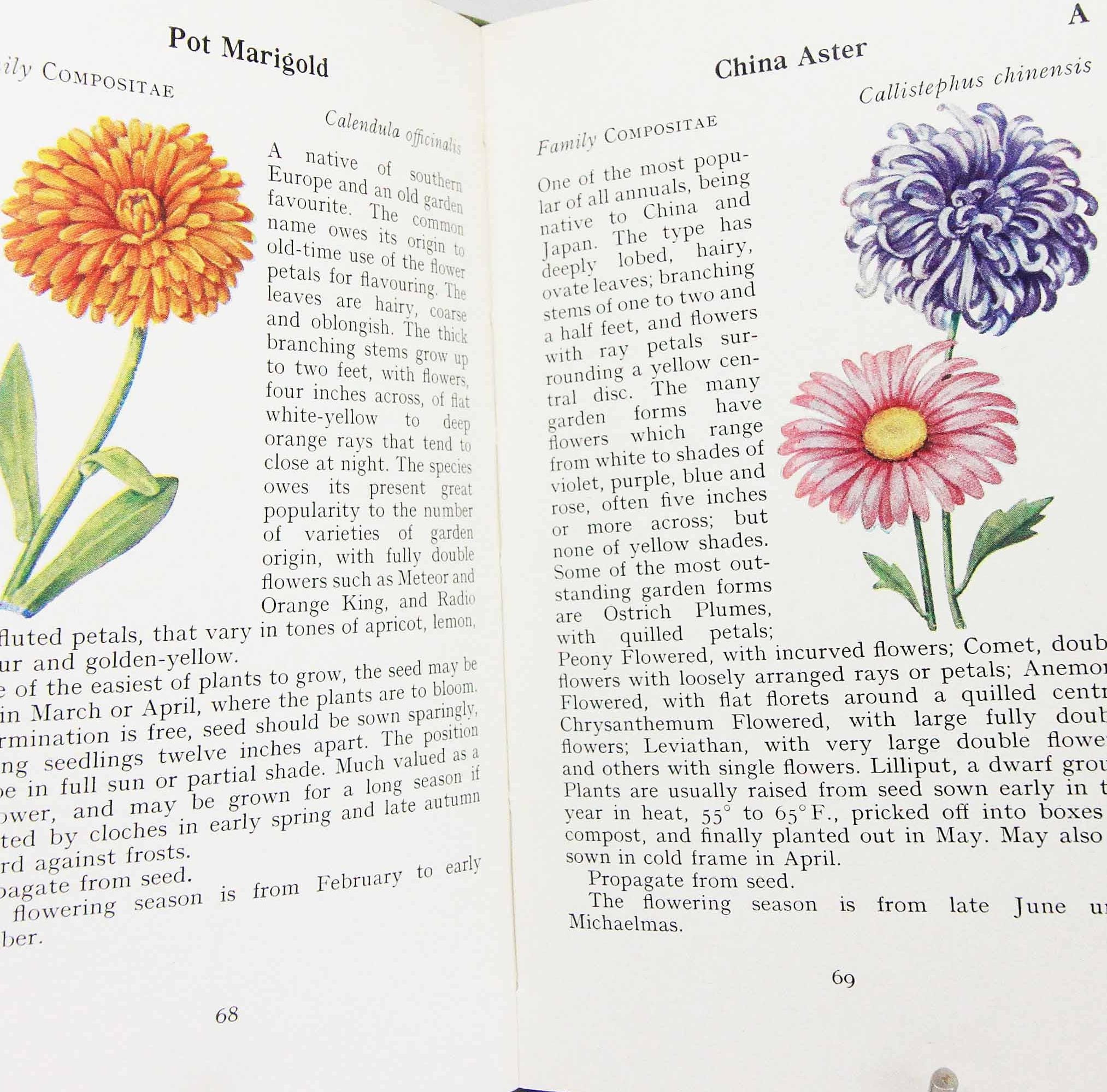 Garden Flowers in Colour 植物図鑑　1960年　洋書 il_fullxfull.6499242141_k4d5.jpg
