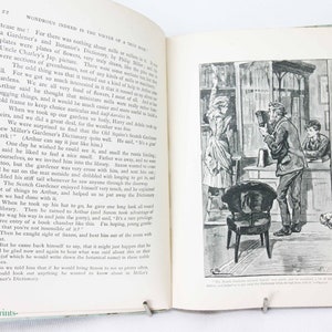 Marys Meadow Illustrierte Kinder antik 1886 Märchenbuch Bilder altes Buch Hardcover Geschenk