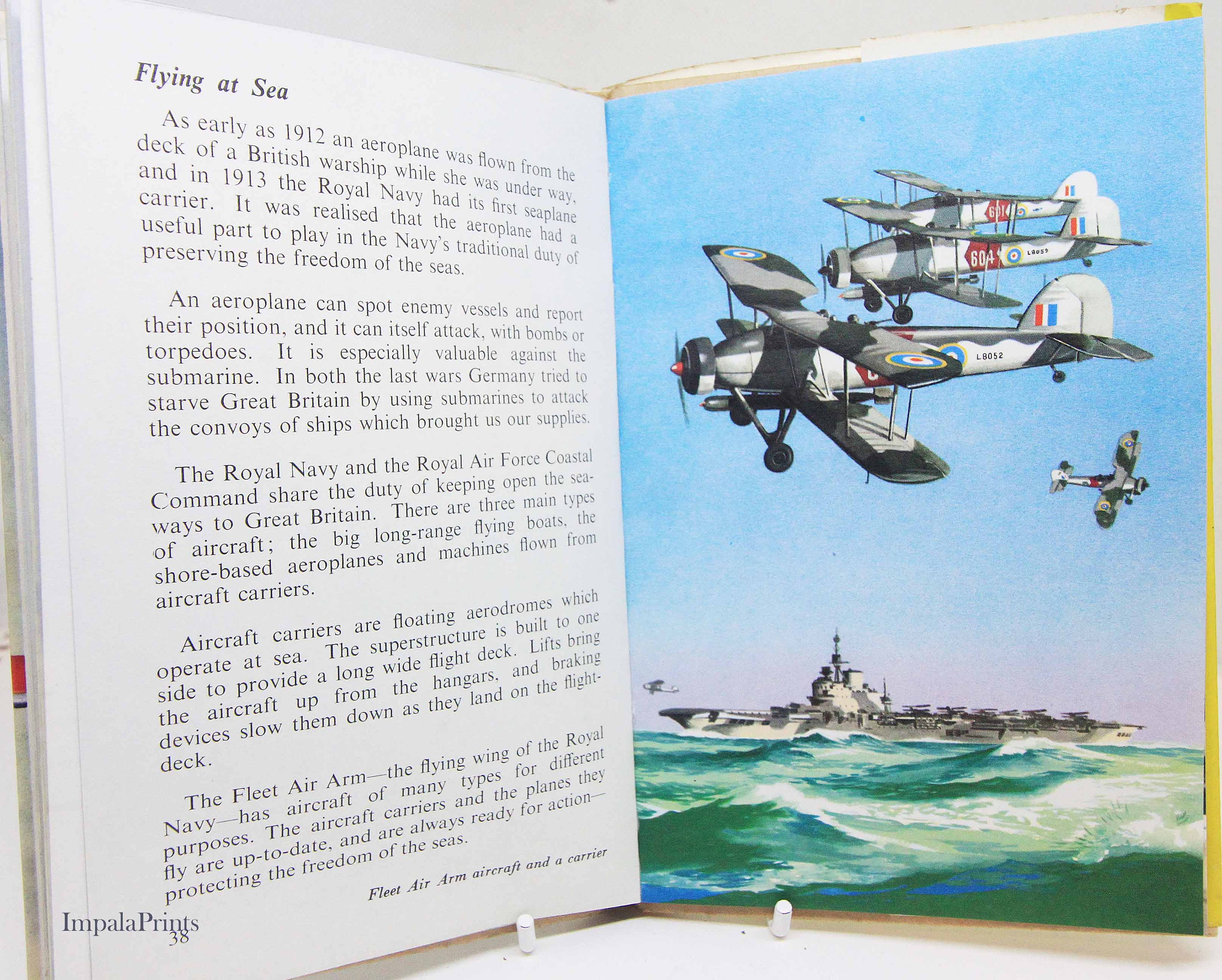 アルテア AC/PICTUREBOOK il_fullxfull.5107745813_7thw.jpg