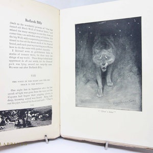 Animal Heroes 1905 Antique Hardback illustrated hardback Book Vintage, gift, collectibles, Stories gift