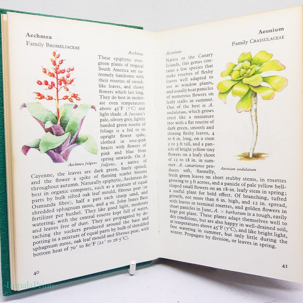 Vintage flower book on House Plants Illustrated picture book 1972 Flowers guide Old Retro