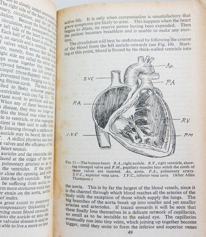 Human Physiology and Vintage 1942 Illustrated Guide to the Old Guide Anatomical Diagrams and ...