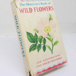 Vintage book Wild Flowers Illustrated Plants Flower Picture book gifts Flowers guide Old Retro Vintage gifts image 4