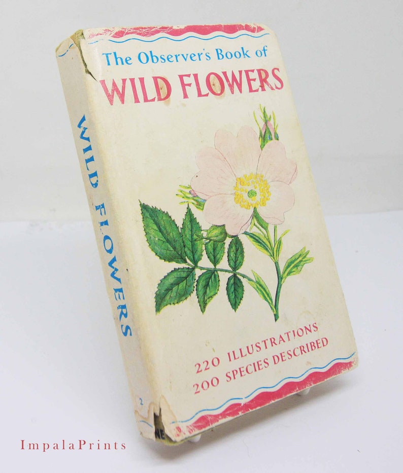 Vintage book Wild Flowers Illustrated Plants Flower Picture book gifts Flowers guide Old Retro Vintage gifts image 4