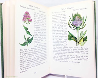 Wildflower Book Illustrated Plant Guide Floral Picture Book Botanical Art Vintage Retro Gift for Nature Lovers Flower Lover Gift