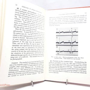 May include: A set of three ceramic vases in varying heights and shapes. The vases are glazed in a matte white finish, offering a minimalist aesthetic. The tallest vase is approximately 10 inches high.