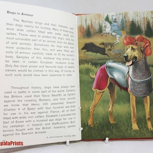 Ladybird book of Dogs illustrated 1968 Vintage hardback Book Vintage, gift, collectibles dog gift