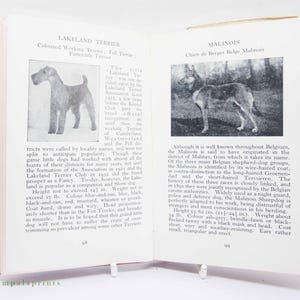 May include: Two pages from a book about dog breeds. The left page features a black and tan Lakeland Terrier, with the text "Lakeland Terrier" and "Coloured Working Terrier: Fell Terrier, Patterdale Terrier". The right page features a brown and black Malinois, with the text "Malinois" and "Chien de Berger Belge Malinois".