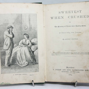 Antique 1883 Childrens book Smartest When Crushed Vintage story book Hardback gilt Gift historic books