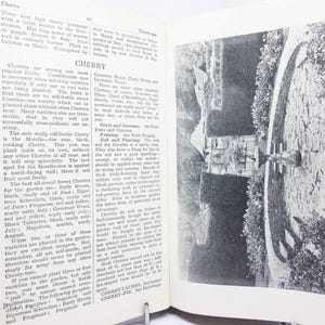 May include: A black and white photograph of an open book. The left page features text about cherries, while the right page displays a garden scene with a sundial and a circular stone path.