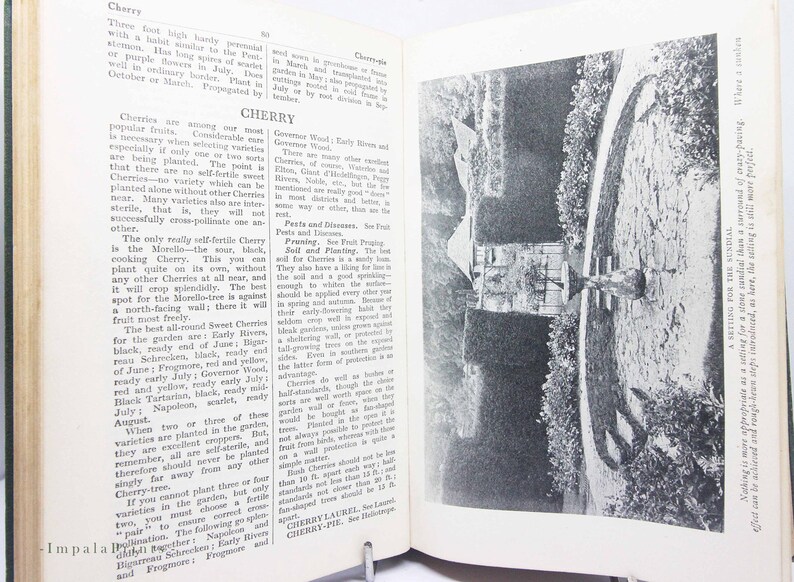 May include: A black and white photograph of an open book. The left page features text about cherries, while the right page displays a garden scene with a sundial and a circular stone path.
