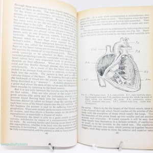 Fisiología humana y guía ilustrada de la década de 1950 con diagramas anatómicos y textos antiguos