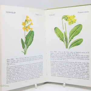 Wild Flowers Illustrated Plants Flower Picture book gifts Flowers guide Old Retro Vintage gifts