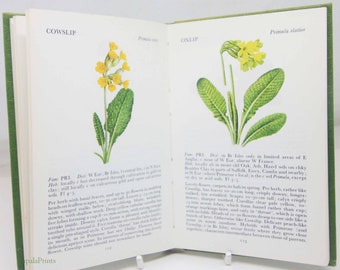 Wild Flowers Illustrated Plants Flower Picture book gifts Flowers guide Old Retro Vintage gifts