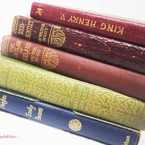 Antique and vintage Adopt a Book, old books Loved hardback books Vintage Book for book lovers image 5