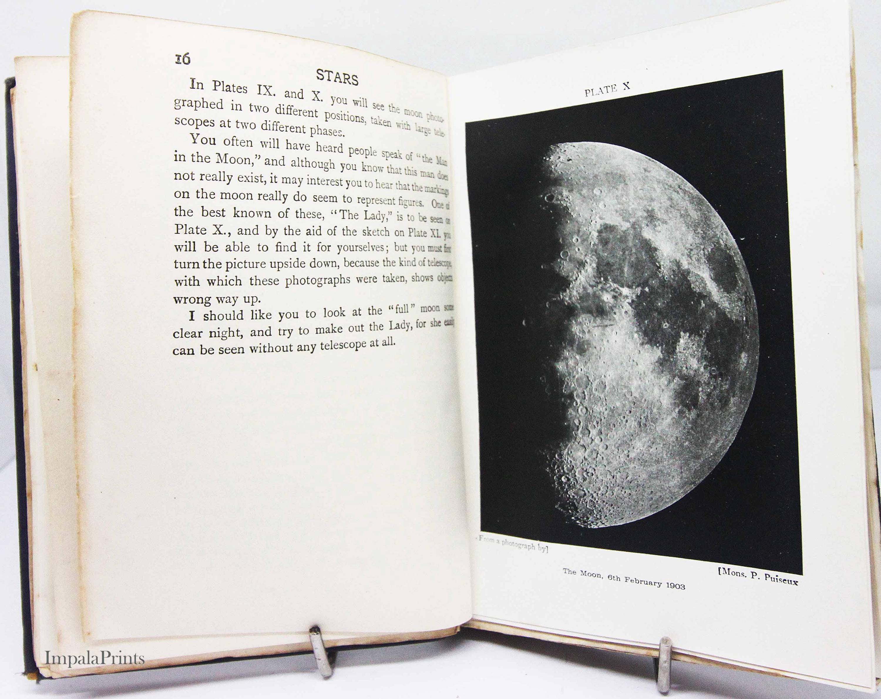 洋書　古書　アンティーク　Stars　イギリスの星図鑑　天文学　惑星　星座 洋書 古書 アンティーク Stars イギリスの星図鑑 天文学 惑星 星座