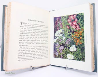 Antique Flower Guide colour 1910s illustration childrens Gardening wildlife Guide flowers