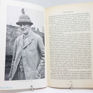 Vogelboek leven van de Robin Vintage 1953 Vogelspotten, cadeau-ideeën Paperback Boek Geïllustreerde Ornithologie vintage geschenkengids