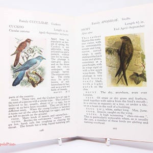 Birdwatching vintage Book illustrated bird book Nature Hardback Ornothology book gift stylish science