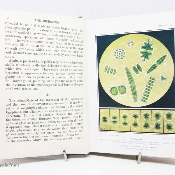 Microscope Science book 1930s Antique children textbook rare old book Biology illustrated gift