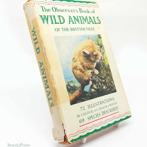 Vintage 1950 Wildlife & Animals of the British Isles – Nature Pocket Guide Hardback Book