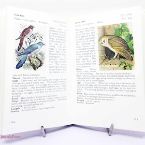 Birdwatching vintage Book illustrated bird book Nature Hardback Ornothology book gift stylish science