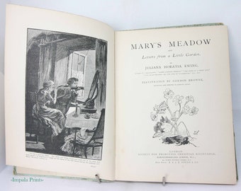 Marys Meadow Illustrierte Kinder antik 1886 Märchenbuch Bilder altes Buch Hardcover Geschenk
