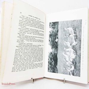 Stories of Natures Folk Antique nature Guide Vintage, 1934 Attractive illustration nature Guide wildlife