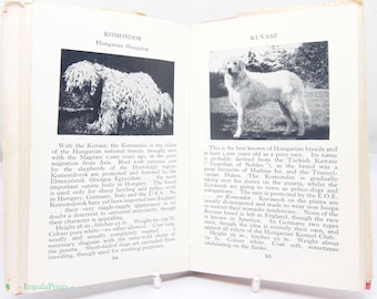 Vintage Illustrated Dog Breeds Guide | Vintage Dog Collectible Hardback Book | Canine Reference Kennel Club Gift for Lovers