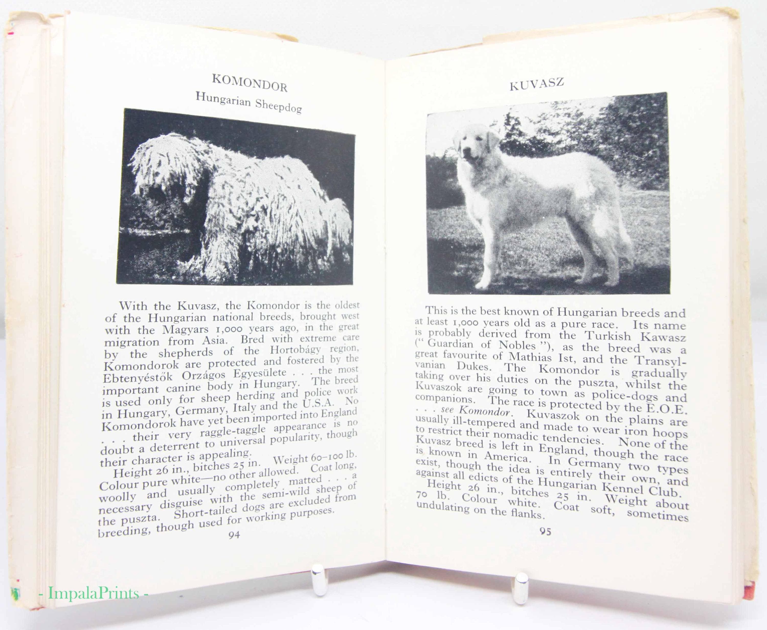 Vintage Illustrated Dog Breeds Guide | Vintage Dog Collectible