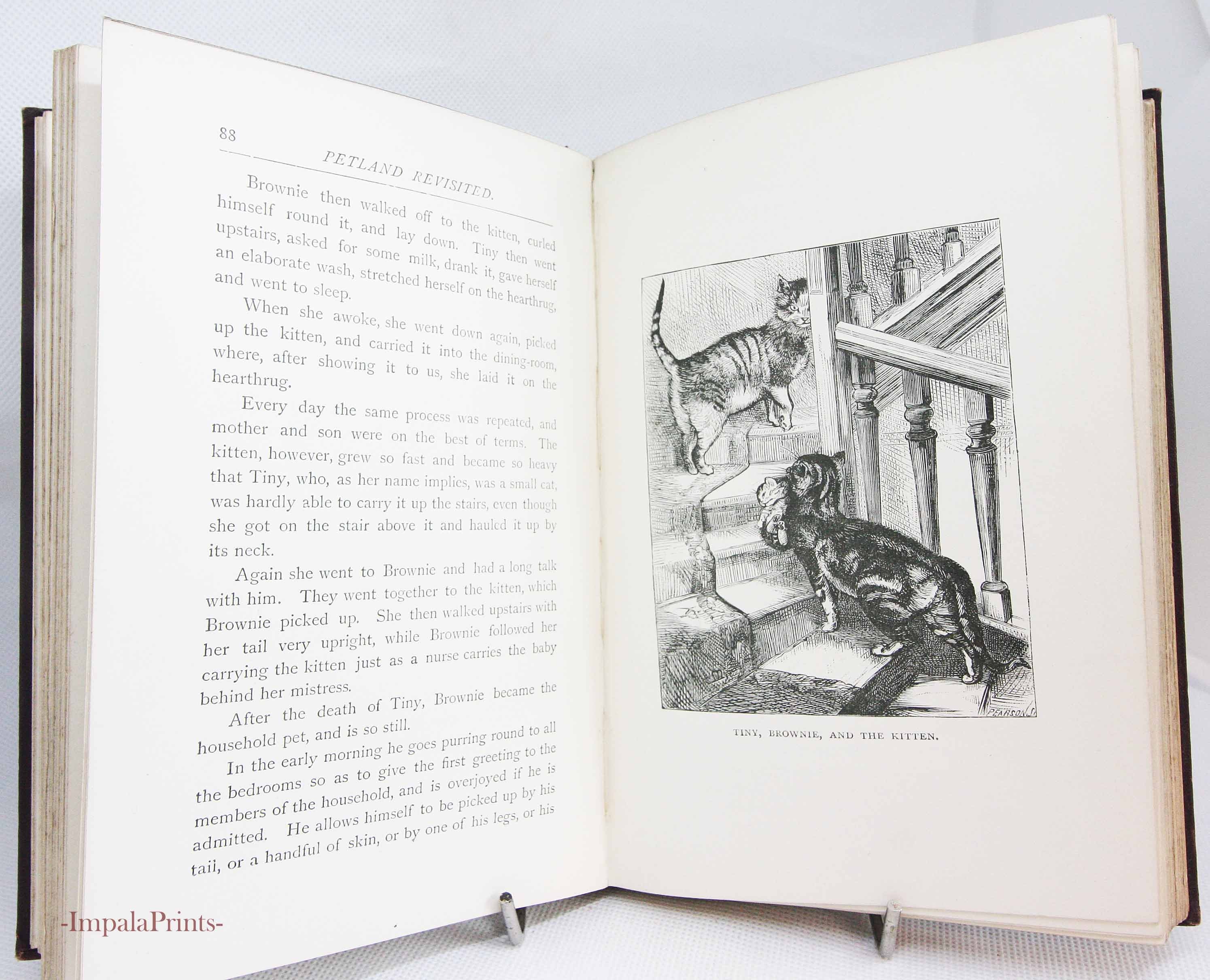 Petland Rev Wood Animal Stories Illustrated Collectable - Etsy Denmark