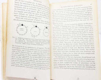 Genetics 1948 Science book vintage paperback science book biology Biological science