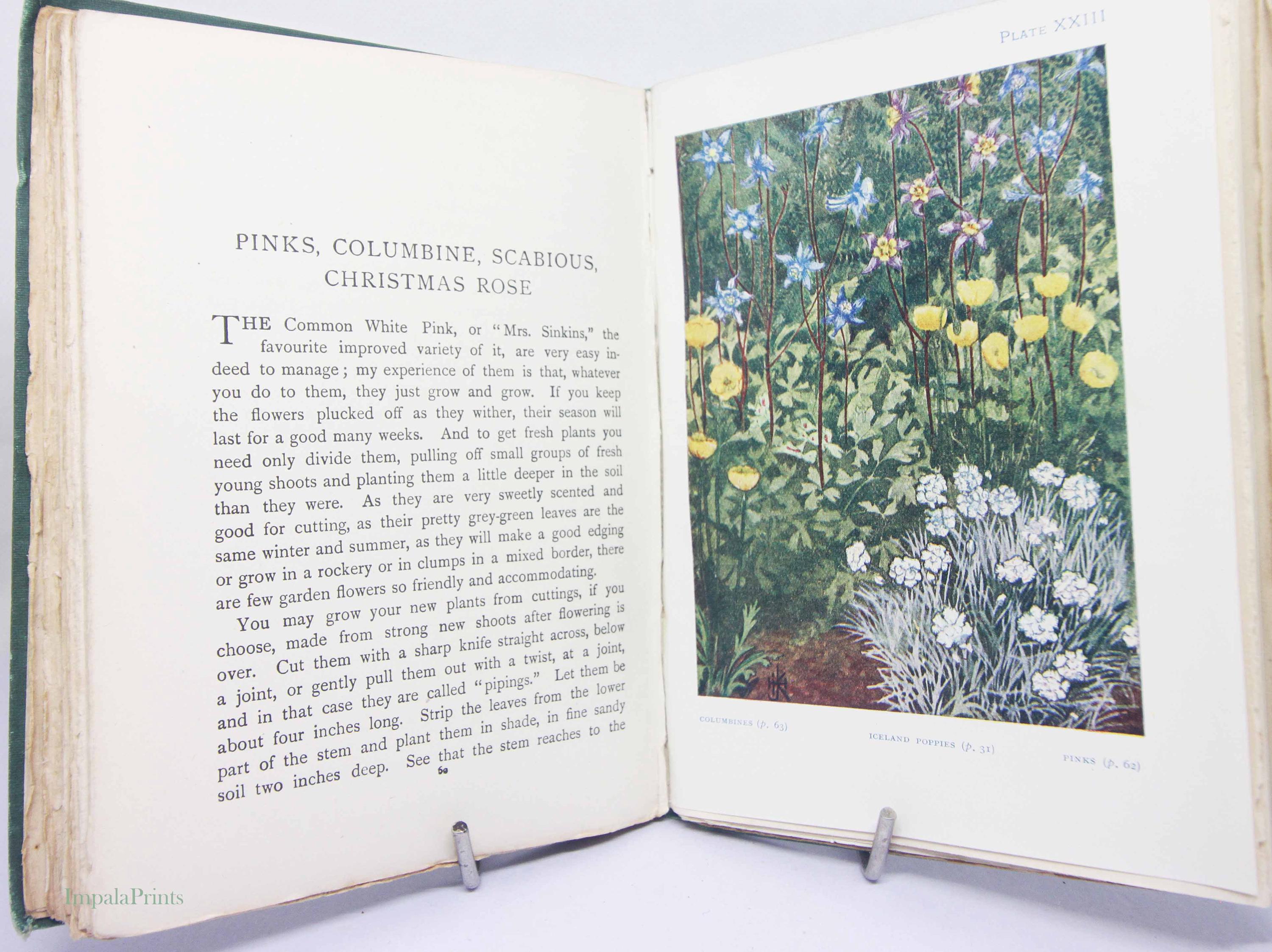 アンティークフラワーガイドカラー1910年代のイラスト子供向け