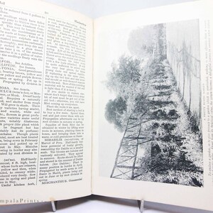 May include: Open book with a black and white photograph of a tall wooden structure in a garden setting. Text on the left page describes plants and gardening techniques. The book is propped open with a metal stand.