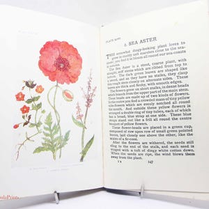 Vintage 1940s Flower Book – Beautiful Color Illustrations | Antique Gardening Guide | Perfect Garden Gift