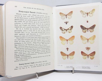 Moths Of The British isles Antique - Colour plates Vintage Hardback 1930s Childrens Natural History