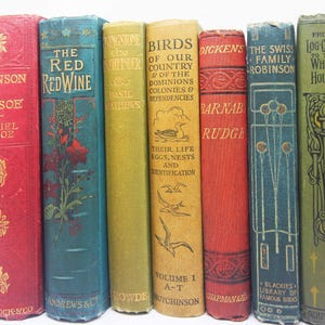 Può includere: Una collezione di sette libri antichi con copertina rigida e dorsi colorati. I titoli includono Robinson Crusoe, The Red Red Wine, Birds of Our Country, Barnaby Rudge, The Swiss Family Robinson e From Log-Cabin to the White House, con testi e illustrazioni in oro e nero.