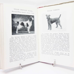 Dog Book Guide breeds illustrated picture uk collectable Vintage Illustrated Pocket book of Breeds gifts pets