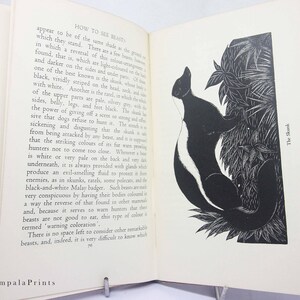 May include: Black and white illustration of a skunk climbing a tree. The text "The Skunk" is printed in the lower right corner of the image. The illustration is from a book titled "How to See Beaty".