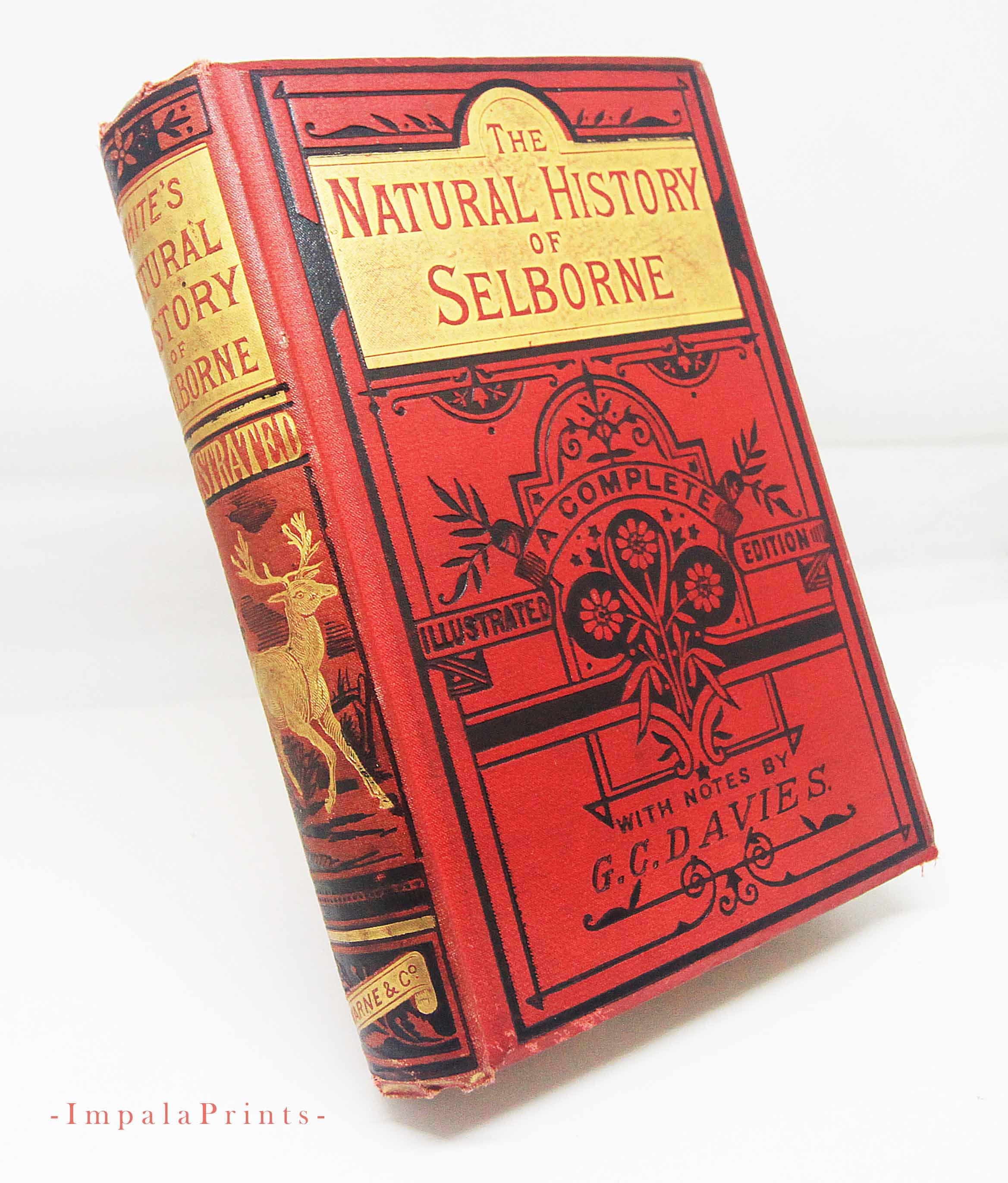Natural History Selborne Hardback Vintage Antique Book 1800s