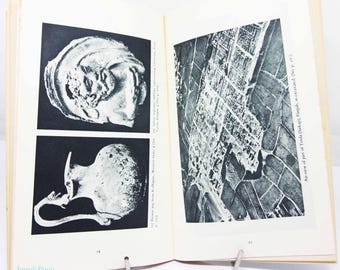 Rome Beyond The Imperial Frontiers Archeology book  Pelican Series Vintage History Factual 1950s book paperback Historical Old books