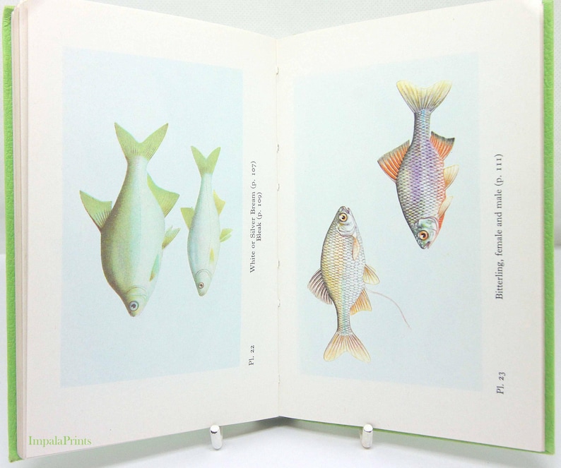 Fish Types Book Freshwater Fishes Handbook Collectable Book Illustrated Fishing Book ...