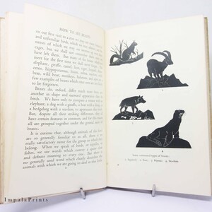 May include: A black and white illustrated book page with the title "How to See Beasts". The page features a description of different types of animals and their characteristics. The page also includes five black and white illustrations of animals, including a squirrel, a hyena, a sea lion, a wolf, and a mountain goat.