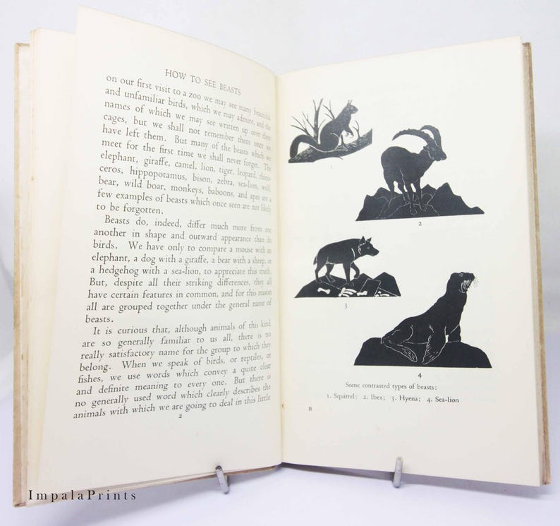 May include: A black and white illustrated book page with the title "How to See Beasts". The page features a description of different types of animals and their characteristics. The page also includes five black and white illustrations of animals, including a squirrel, a hyena, a sea lion, a wolf, and a mountain goat.