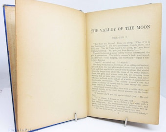 Valley of the Moon Antique 1914 libro para niños literatura americana ilustrada aventura naturaleza historia libro ilustrado