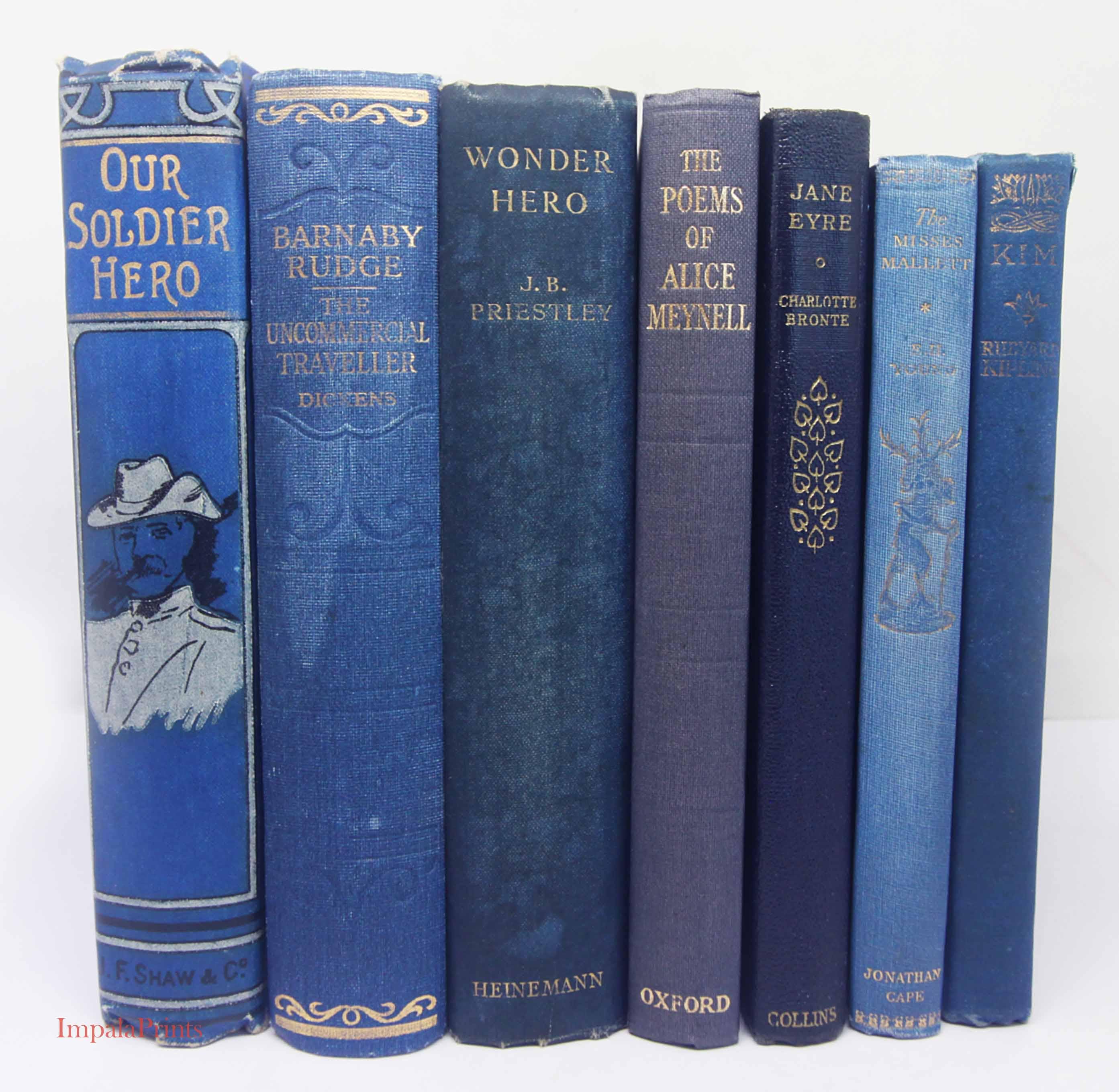 Antique and vintage Adopt a Book, old books Loved hardback books