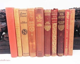 Antique and vintage Adopt a Book, old books Loved hardback books Vintage Book for book lovers