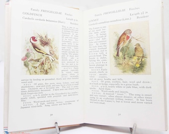 Vintage UK 1950s Birdwatching Book: Illustrated Ornithology, Hardback