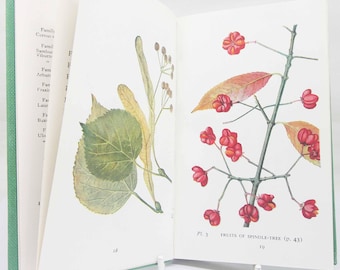 Trees and shrubs guide book flower book Illustrated Plants picture book Flowers guide Old Retro