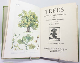 Tree Illustrated Guide Vintage, antique colour illustration childrens nature Guide gift ideas